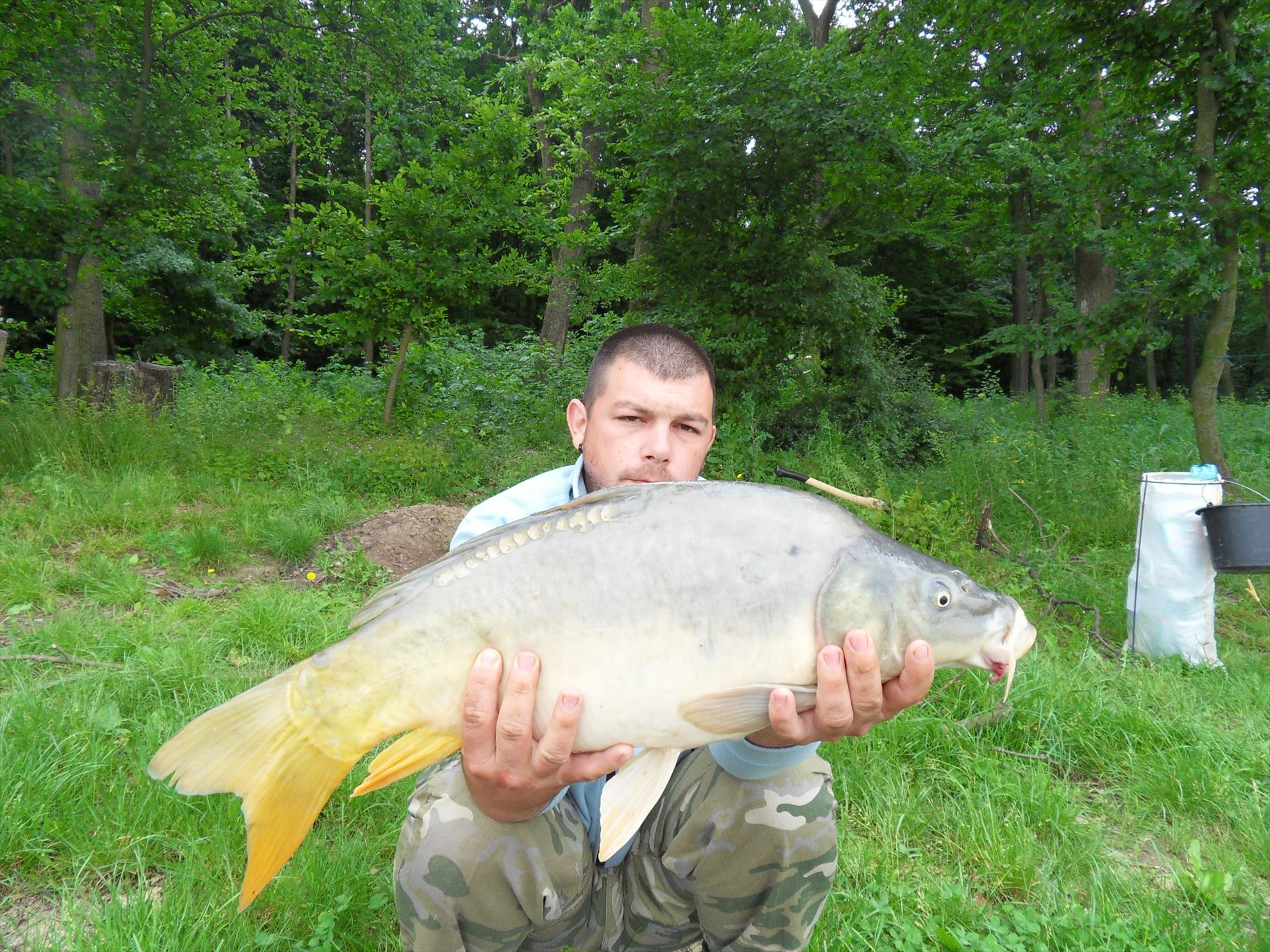 Cetariu 2011 - cetariu2011-264.JPG